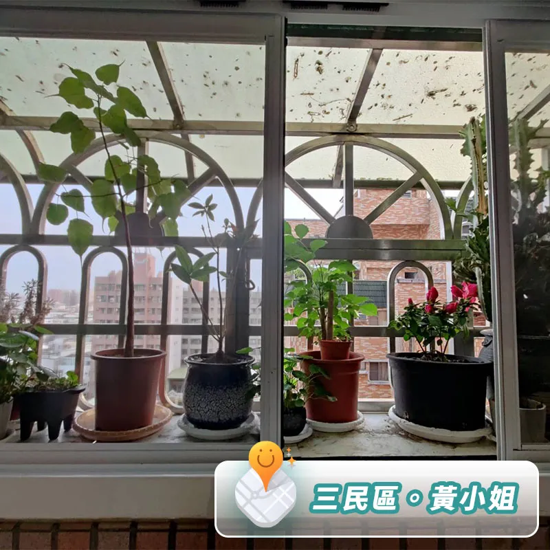SMOG思瑪科防霾紗窗-大樓安裝實例：三民區黃小姐