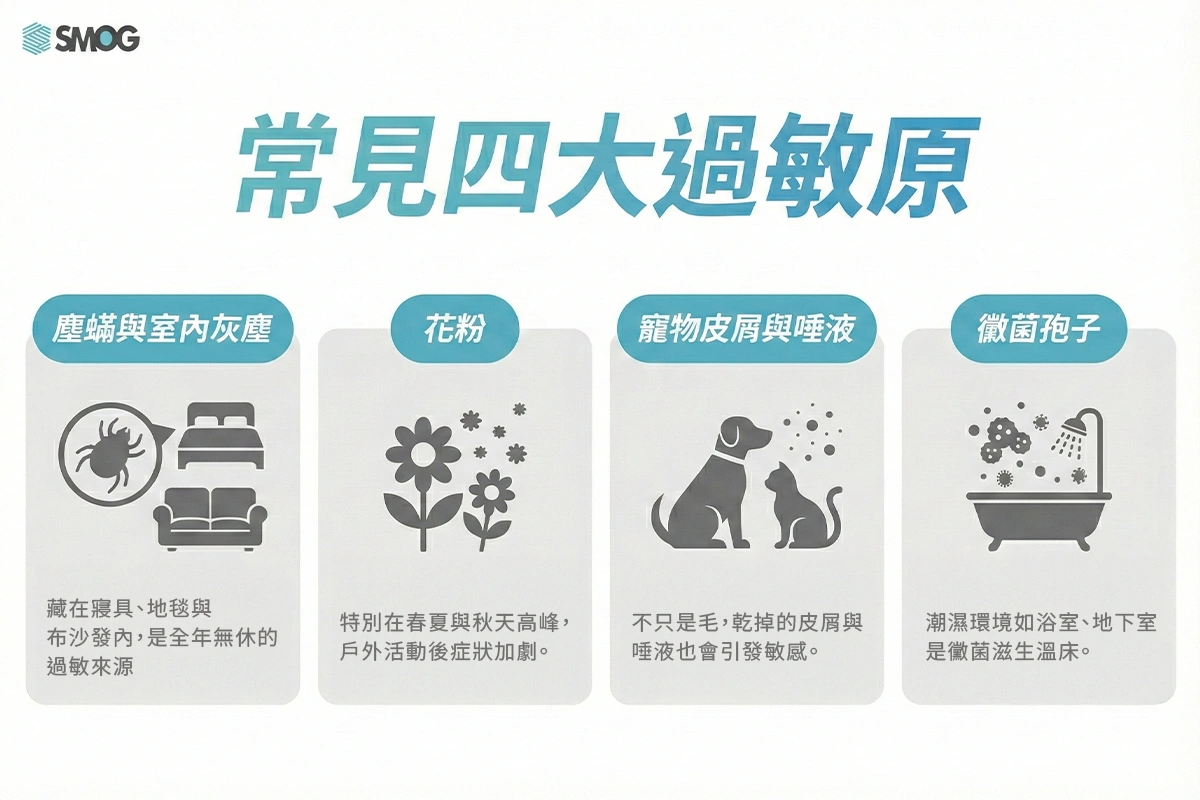 常見四大過敏原