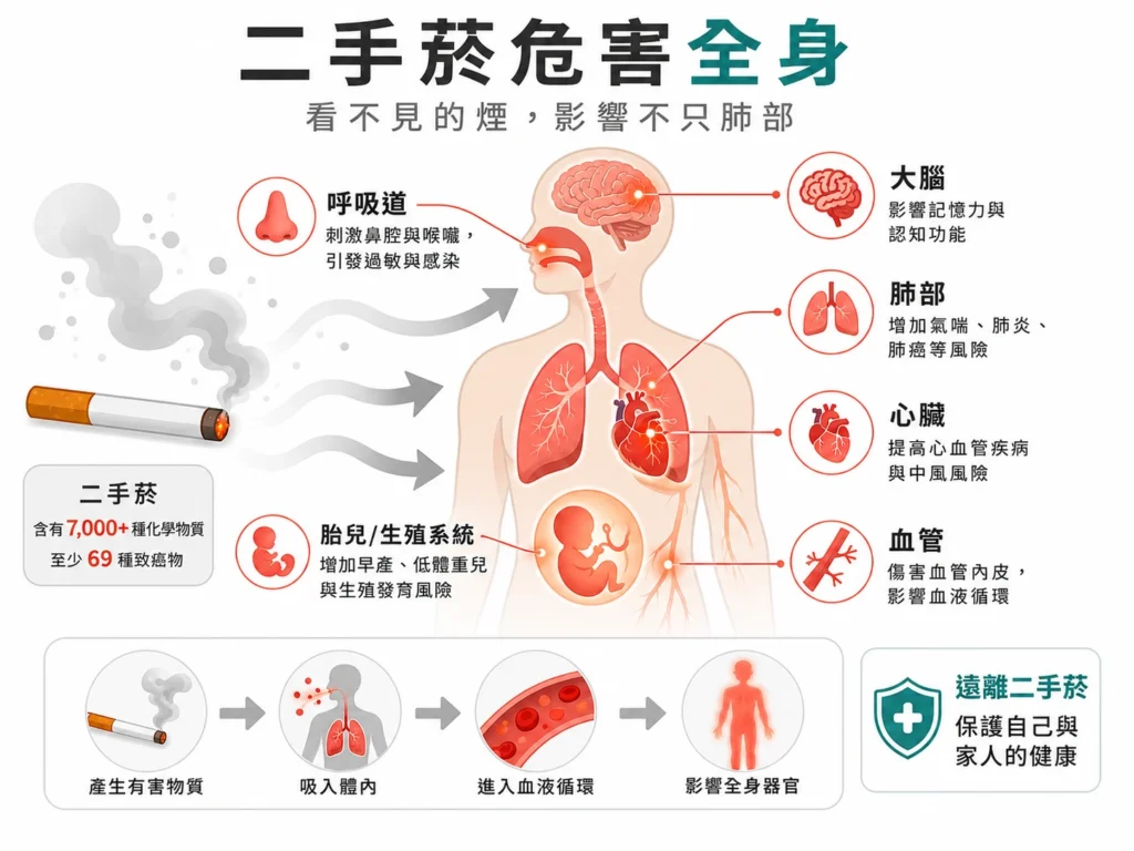 二手菸危害身體哪些部位 人體圖解