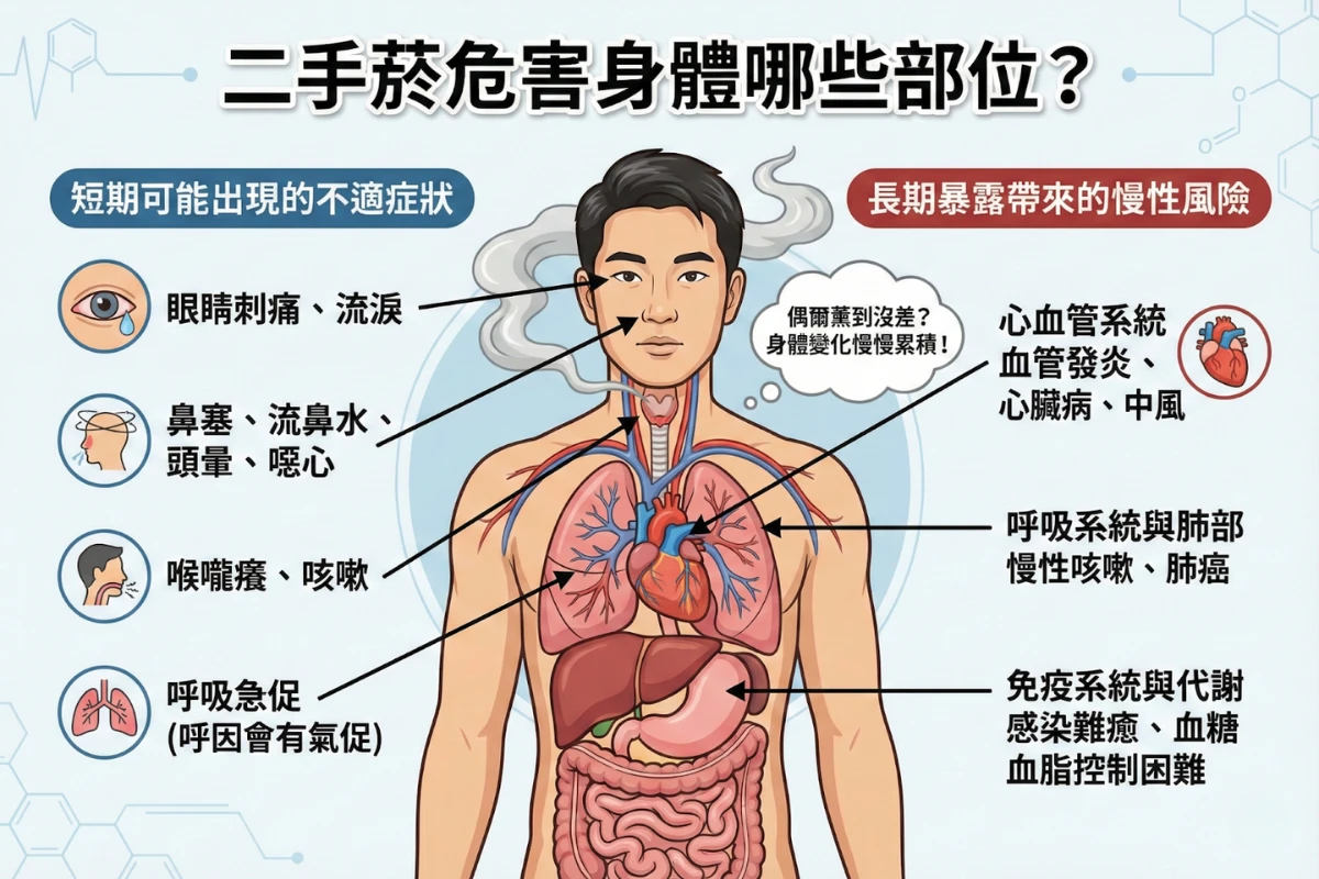 二手菸危害身體哪些部位